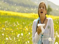 什么是花粉过敏？英国治疗和预防花粉过敏非处方药